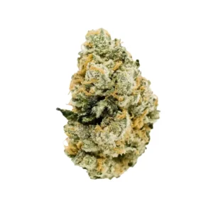 Jet Fuel Gelato Strain