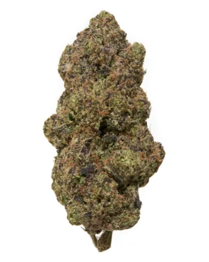 Lemon Cherry Gelato Strain​