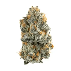 Watermelon Gelato Strain